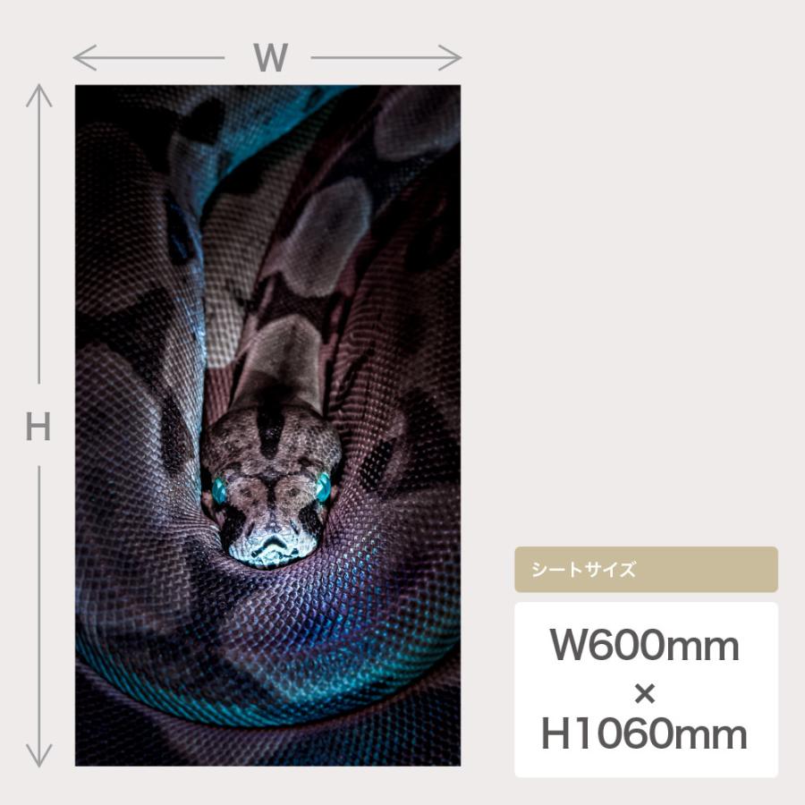 蛇 ヘビ ウォールステッカー 日本製 壁紙 爬虫類 アナコンダ スネーク