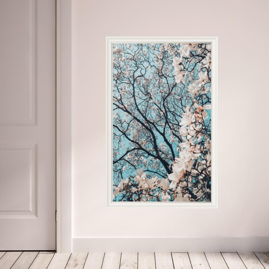 花 フラワー Mu3アクセント壁紙 日本製 フレーム 白 ホワイト ウォールステッカー ポスター シール 特大 景色 風景 写真 インスタ Acw 0035 Ktn W Lucca 通販 Yahoo ショッピング