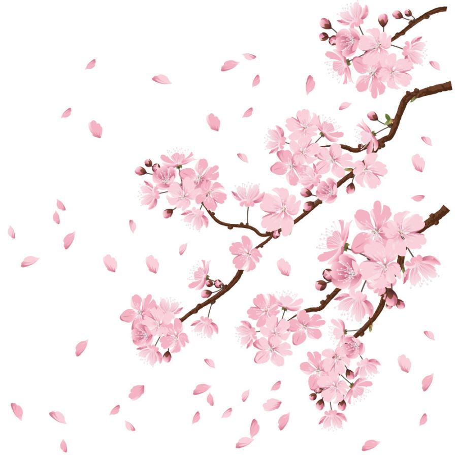サクラ 桜 ウォールステッカー 日本製 桜吹雪 春 花びら さくら 母の日 フラワー ピンク 壁紙 シール リメイク Hnkb 0080 Lucca 通販 Yahoo ショッピング