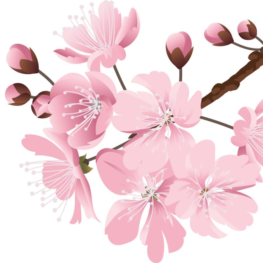 サクラ 桜 ウォールステッカー 日本製 桜吹雪 春 花びら さくら 母の日 フラワー ピンク 壁紙 シール リメイク Hnkb 0080 Lucca 通販 Yahoo ショッピング