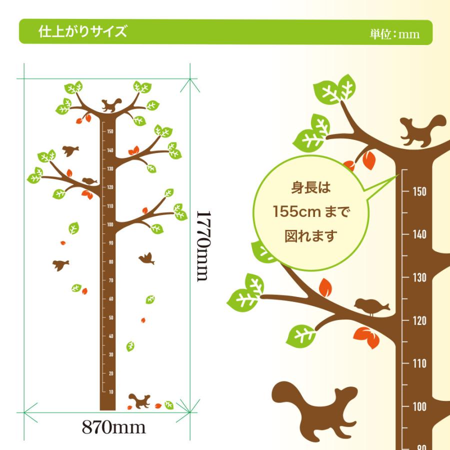 木の身長計 ウォールステッカー 日本製 キッズ リス 小鳥 子供部屋 シール｜lucca-yh｜04