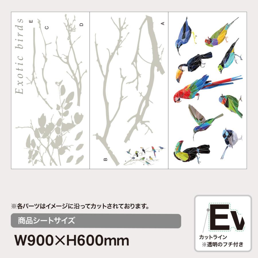 木と鳥たち ウォールステッカー バード 日本製 オウム ハチドリ インコ 壁紙 シール Hnkb 0084 Lucca 通販 Yahoo ショッピング