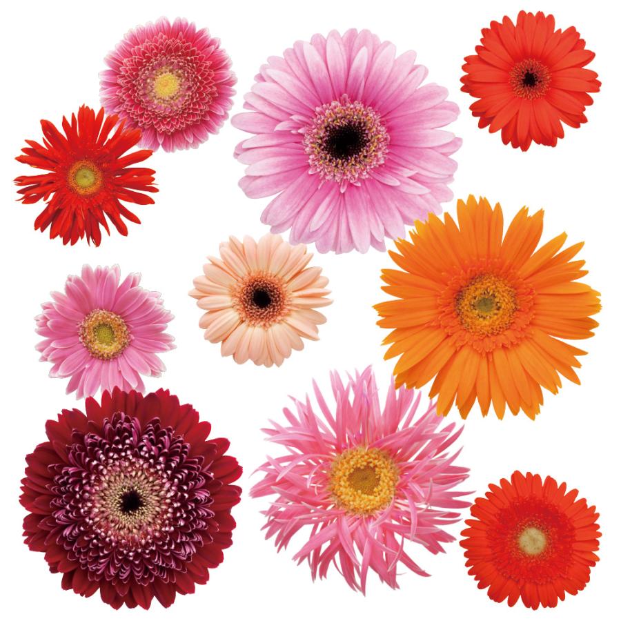 花飾り 豪華 髪飾り 2点セット wk-292 成人式 振袖 卒業式 つまみ細工