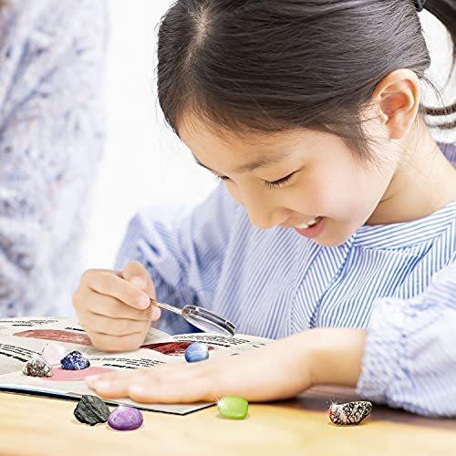 Xxtoys 鉱石 コレクション キット Sale 77 Off クリスマス カレンダー 30日間の石コレクション計画 鉱石発掘キット 鉱石標本 天然 おもちゃ 宝石おもちゃ