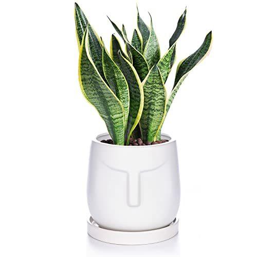 Etoocafe 植木鉢 おしゃれ 鉢 陶器 プランター 陶器鉢 15cm 6号 白 受け皿付き 底穴あり 鉢植え 北欧 観葉植物 インテリア ホワイ S Luce Japan 通販 Yahoo ショッピング