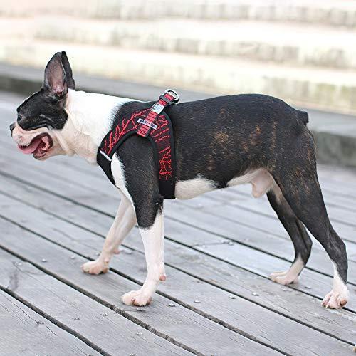 Shanado 犬 ハーネス ソフト ベスト型 胴輪 ハーネスリードセット 通気 装着簡単 調節可能 引っ張り防止 歩行補助 しつけ 運動向き ペット S Luce Japan 通販 Yahoo ショッピング