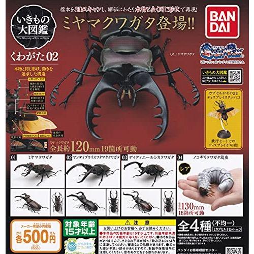いきもの大図鑑 くわがた02 全4種セット フルコンプ ガチャガチャ カプセルトイ S Luce Japan 通販 Yahoo ショッピング