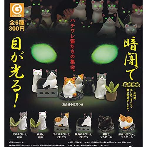 ハチワレ猫たちの集会 全6種セット ガチャガチャ S Luce Japan 通販 Yahoo ショッピング