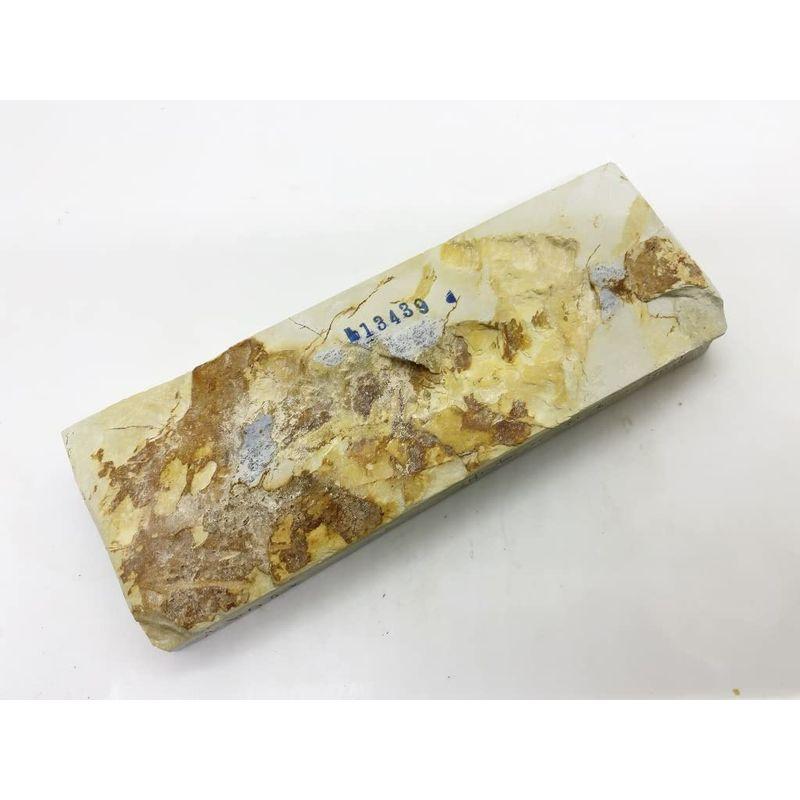 天然砥石 奥殿 本巣板黄板梨地 八十切大極上 553g No.202天然砥石 奥殿