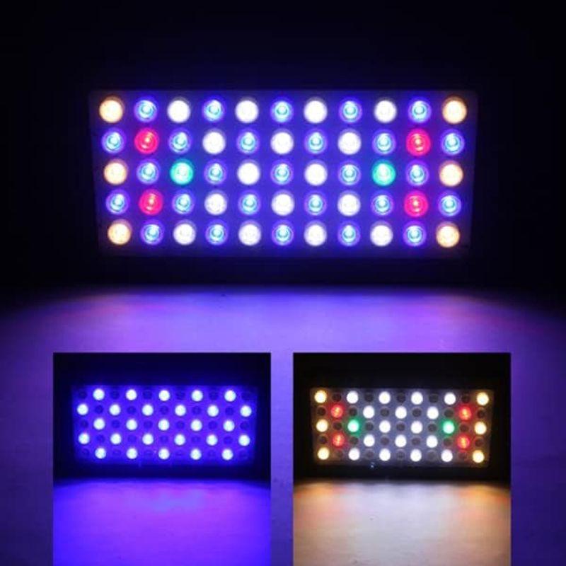 Wellvie LED 水槽照明 海水魚 サンゴ水槽 水草 アクアリウムライト 青 赤 白 緑 高輝度 ACケーブル （1SET/165W） LED 水槽照明 海水魚 サンゴ水槽 水草 アクアリウムライト 青 赤 白 緑 高輝度 ACケーブル 1SET/165W サイズ 約