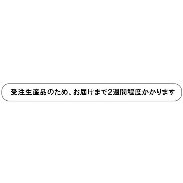 ドアマット 靴拭きマット/大型 180×500cm/洗える/スタンダードマット/22色 受注生産 |  | 41