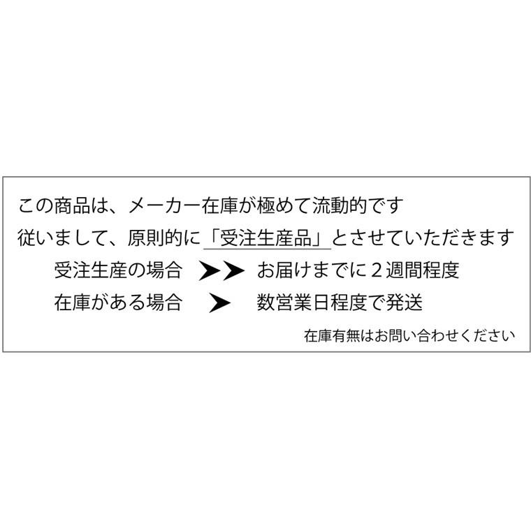 ドアマット 靴拭きマット/45×75cm/洗える/スタンダードマット/22色 |  | 41
