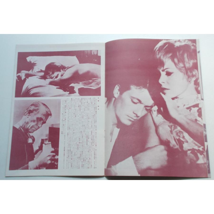 映画パンフレット□盗みのプロ部隊／エドワード・Ｇ・ロビンソン、ジャネット・リー、クラウス・キンスキー、アドルフォ・チェリ |  | 01