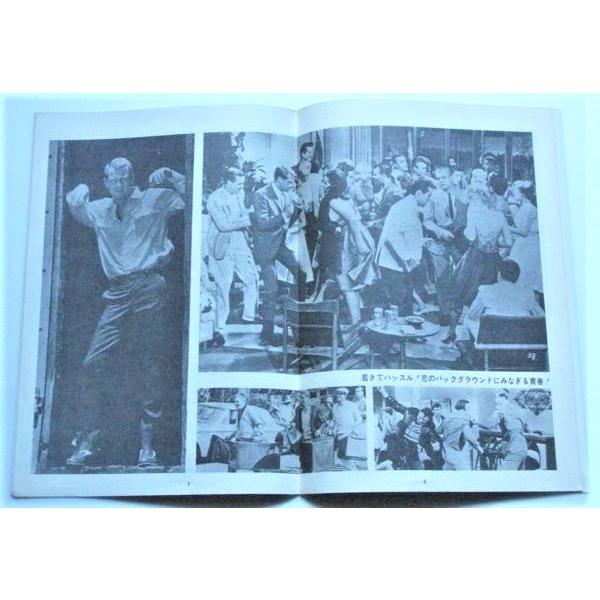 映画パンフレット□パームスプリングの週末／スザンヌ・プレシェット