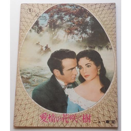 エリザベス・テイラー△愛情の花咲く樹：R版パンフレット