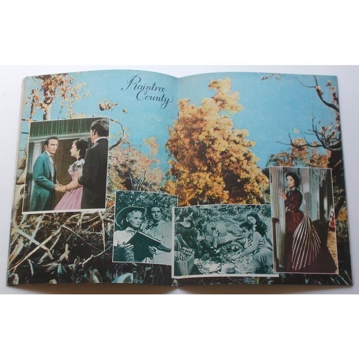 エリザベス テイラー額付50cm×50cmポスター1枚及びA4額付ポスター2枚 エリザベス テイラー額付50cm×50cmポスター1枚及びA4額付ポスター2枚