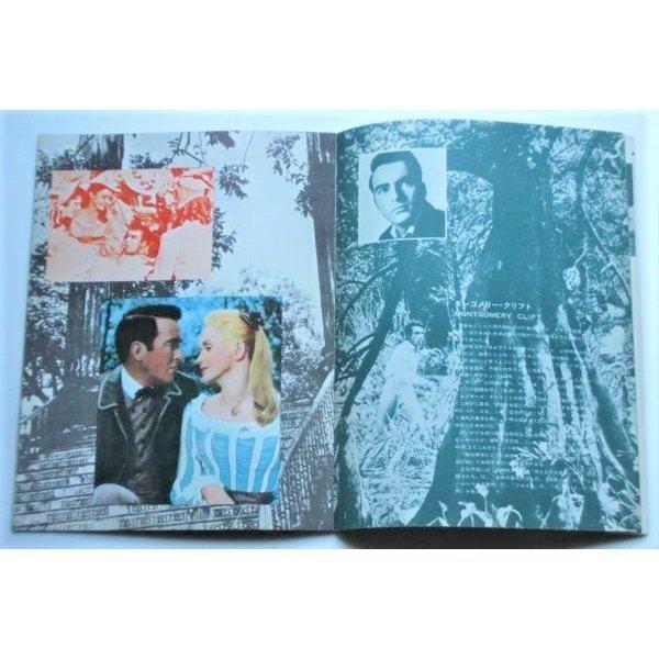 エリザベス・テイラー△愛情の花咲く樹：R版パンフレット