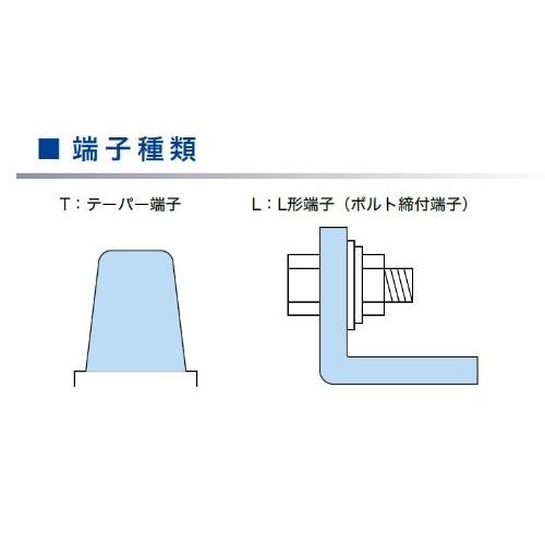 Eb1 Le Gs 自動車 ジーエスユアサ サイクルサービス用鉛蓄電池 Yuasa Yuasa 電動車バッテリー
