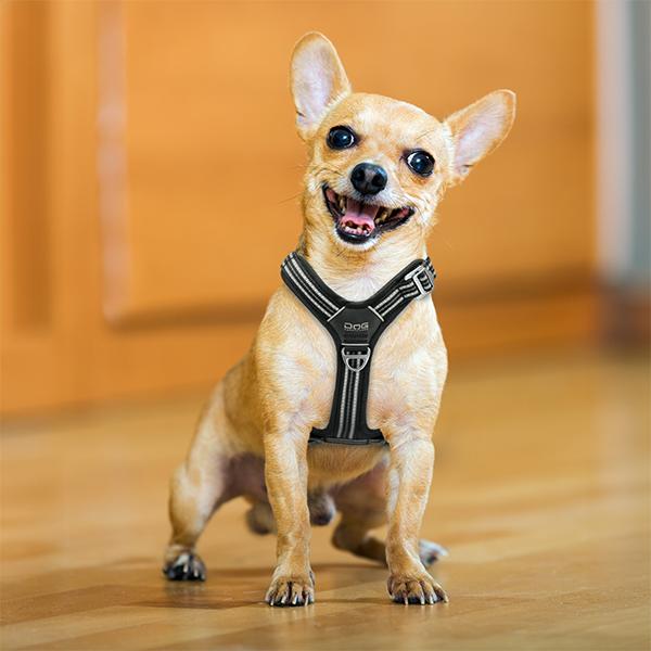 DOG Copenhagen（ドッグコペンハーゲン） 【並行輸入品】 ハーネス 