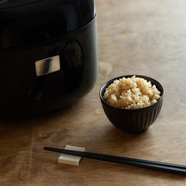 ライカベル　玄米発芽炊飯器　圧力IH 圧力IH玄米発芽炊飯器「ライカベル」