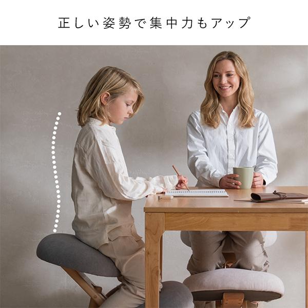 宮武製作所 Miyatake 椅子 プロポーションチェア SOLA（ソラ） 姿勢