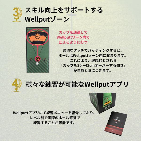 ウェルパット Wellputt パターマット 3m スタンダードマット