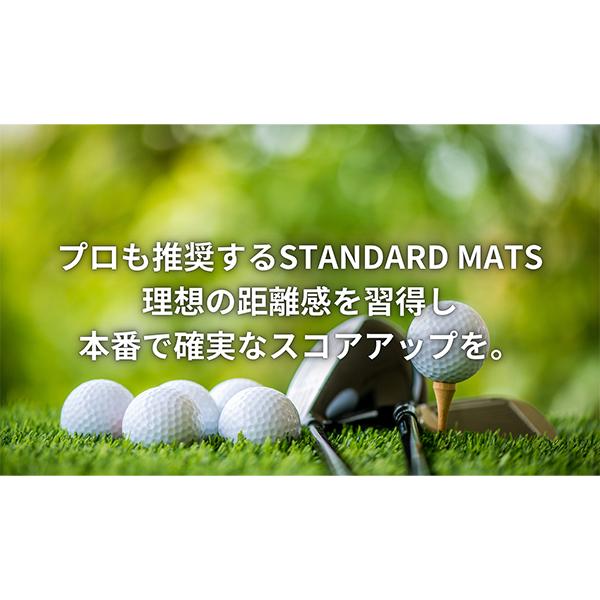 ウェルパット Wellputt パターマット 3m スタンダードマット
