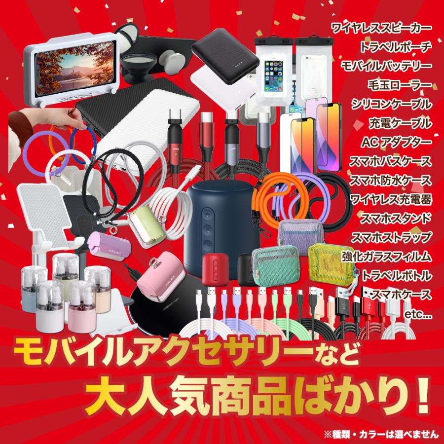 Lucille（ルシール） 福福袋 2026 豪華10点 ディズニー ReFa SK-II