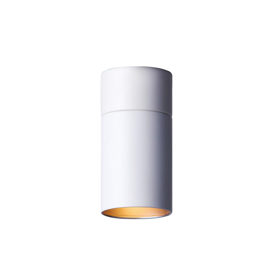 ARTWORKSTUDIO（アートワークスタジオ） AW-0524 チューブダウンライト