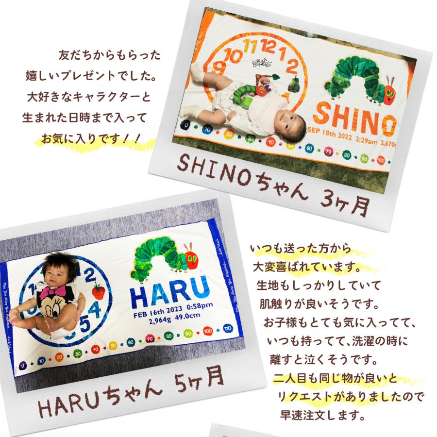 ERIC CARLE（エリックカール） 出産祝い 名入れ 今治製 バスタオル