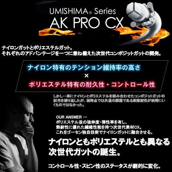 ゴーセン テニスストリング『単張』  『12張単位』ウミシマ AK プロ CX 17 UMISHIMA AK PRO CX 17 TS761の画像