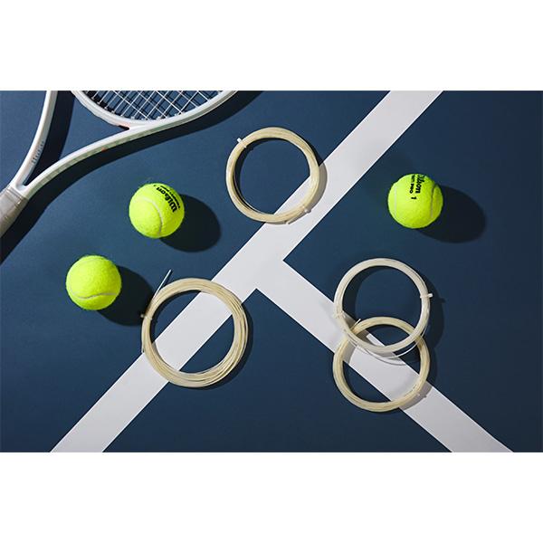 Wilson（ウイルソン） ウィルソン テニスストリング『ロール他』 NXT 