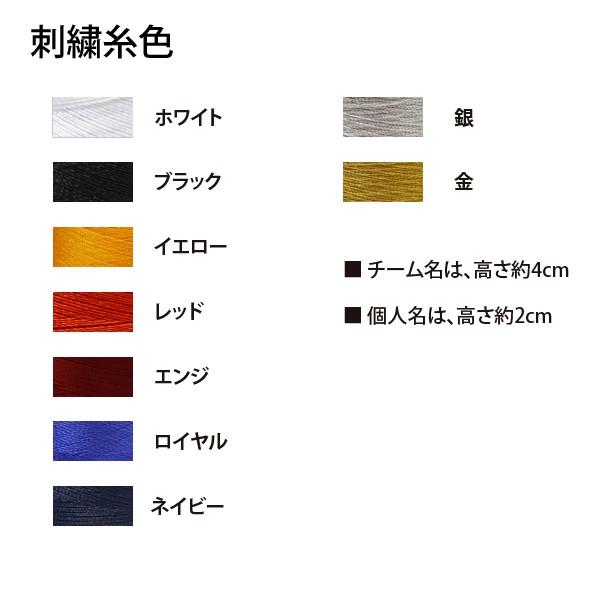 ネーム刺繍入り アリーナ Arena 水泳 水球 デイバッグ バックパック リュック Aeanja01 Aeanja01m ラックスポーツyahoo 店 通販 Yahoo ショッピング