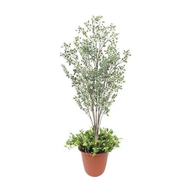 観葉植物 造花 ディスプレイ フィカスプラント鉢付A 160ｃｍ お客様組み立て商品※沖縄・北海道・離島発送不可商品   　