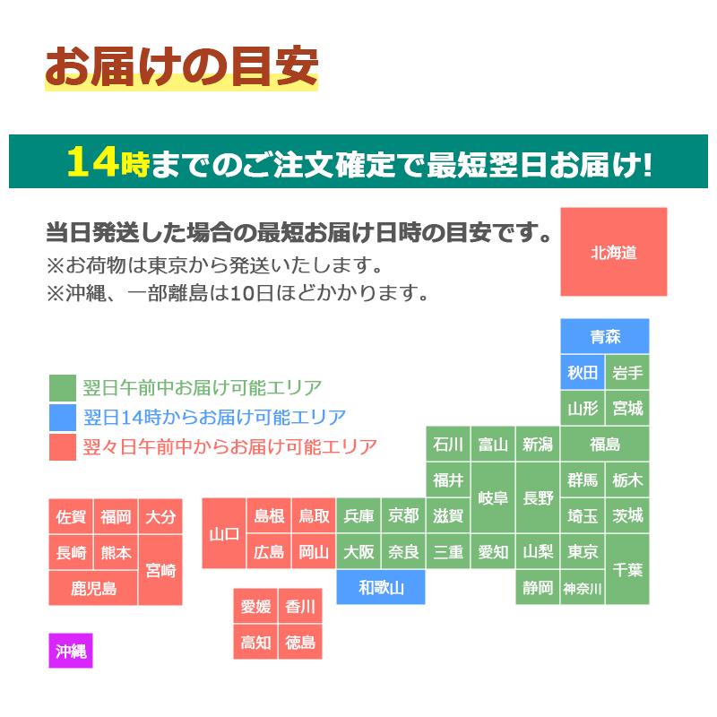 スーツケース レンタル 14日 2週間 サムソナイト コスモライト Samsonite Cosmolite 1週間以上向け Lサイズ 75cm/94L キャリー 即日配送 海外旅行 国内旅行｜lucky-rental-shop｜04