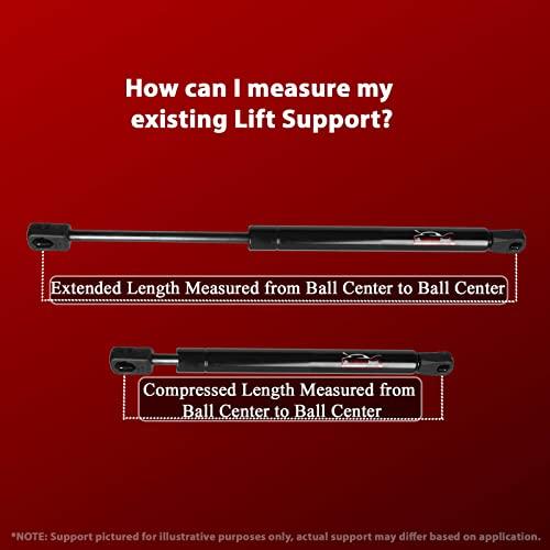 【並行輸入品】Lift Support Depot (2) 10mm カップエンド \"ステンレススチール\" 拡張×60ポンド 0630BR 12の画像