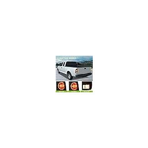 【並行輸入品】AUTOSAVER88 テールライト 1997 2003 フォード F150 (スタイルサイドモデルのみに適合) 1999 200_8
