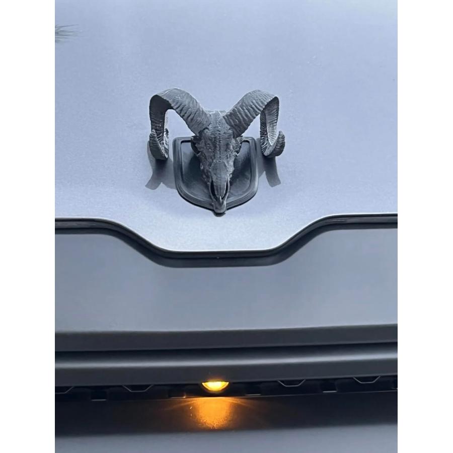 【並行輸入品】4th \u0026 5th Gen 09+ Hood Ram Skull Badge Ornament Emblem fits RAMの画像