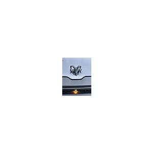 【並行輸入品】4th \u0026 5th Gen 09+ Hood Ram Skull Badge Ornament Emblem fits RAMの画像
