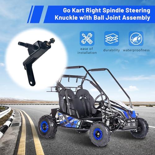 【並行輸入品】Right Spindle Steering Knuckle with Ball Joint Assembly fit forの画像