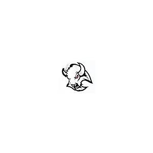 【並行輸入品】2X Custom Badge Logo Bull Cow Ox Buffalo Redeye Emblems for Carの画像