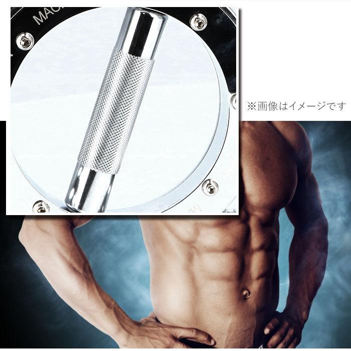バーンマシン 重量5.5kg スピードバッグ シルバー 筋トレ トレーニング Amazon.co.jp: バーンマシン( The Burn Machine ) スピード