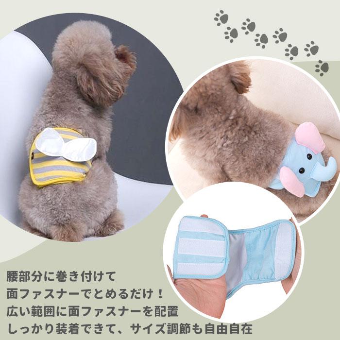 ☆ ハチ Mサイズ 犬 マナーパンツ オス 通販 マナーウェア