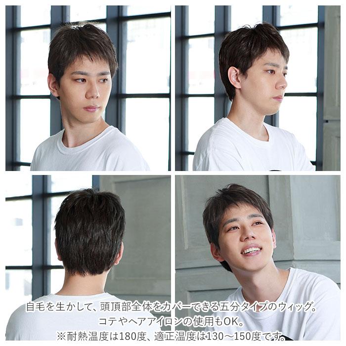 ☆ TGH/耐熱グレイヘア プリシラ 男性用5分ウィッグ レイヤー