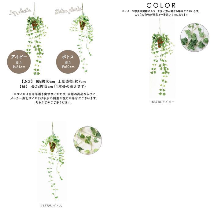 ☆ 163725.ポトス 光触媒 フェイクグリーン 通販 壁掛け