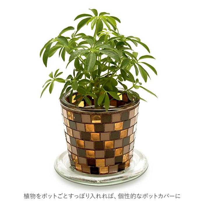 ☆ BROWN 植木鉢 おしゃれ 3.5号 通販 プラントポット 鉢 プランター 受け皿 穴あり 寄せ植え ポット 円形 丸型 かわいい ガラス 石膏 モ｜lucky13｜06