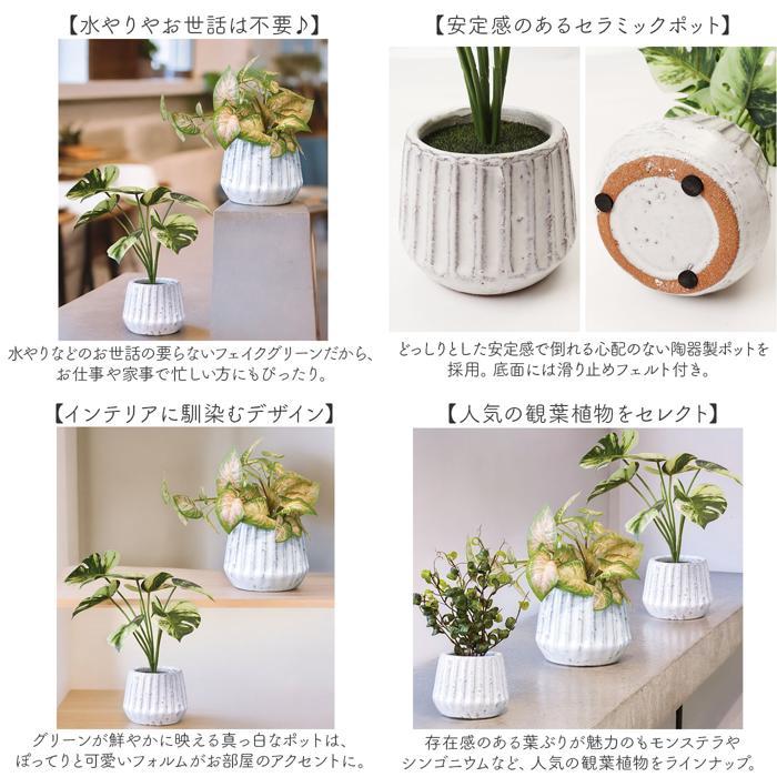 ☆ クレマチス 光触媒 ナビール ポットS フェイクグリーン 人工観葉