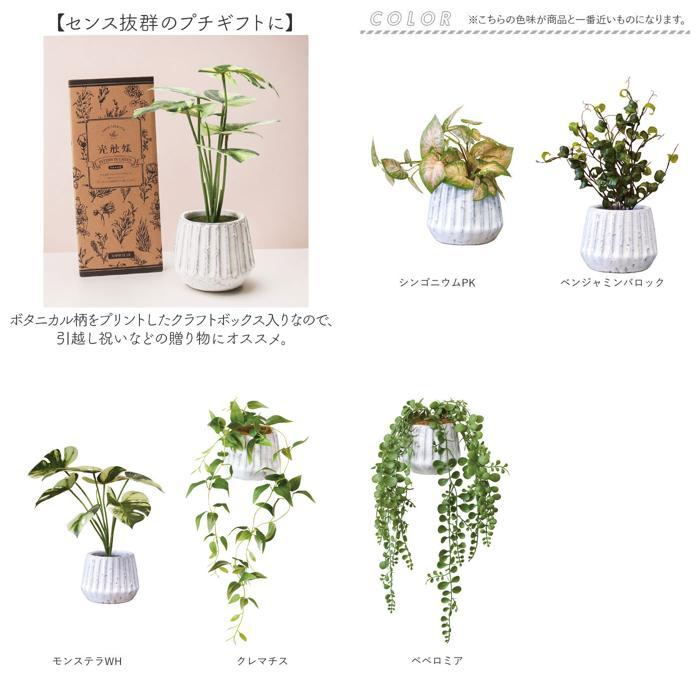 ☆ クレマチス 光触媒 ナビール ポットS フェイクグリーン 人工観葉