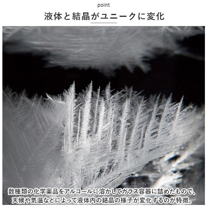 ☆ きのこ.グリーン ☆ ストームグラス ストームグラス 気象計 きのこ ガリレオ 気象計 天気予報 結晶 化学 サイエンス ガラス 科学 室内｜lucky13｜07