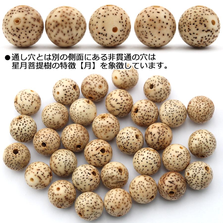 Lucky365 1粒売り 天然石 星月菩提樹 菩提樹の種 丸ビーズ 10mm Lucky365 1粒売り 天然石 星月菩提樹 菩提樹の種 丸ビーズ 10mm